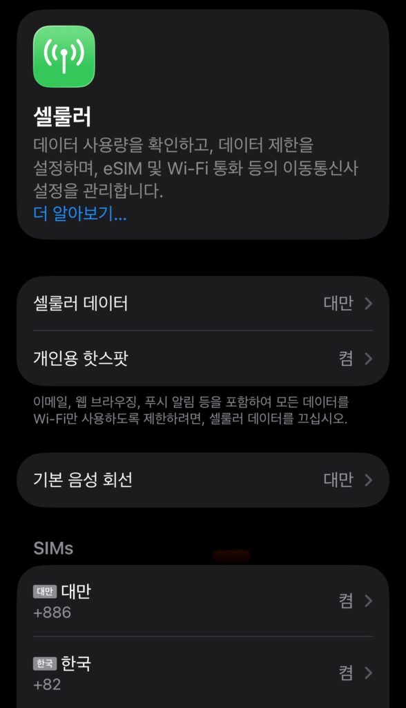듀얼 심 설정 방법